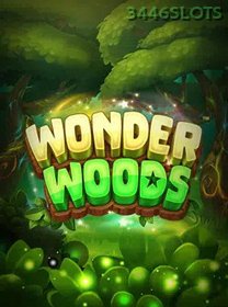 Wonder Woods icon